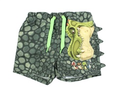 Name It laurel wreath swim shorts Gigantosaurus